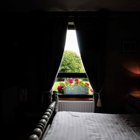 Abbey View Bed & Breakfast Galway Bagian luar foto