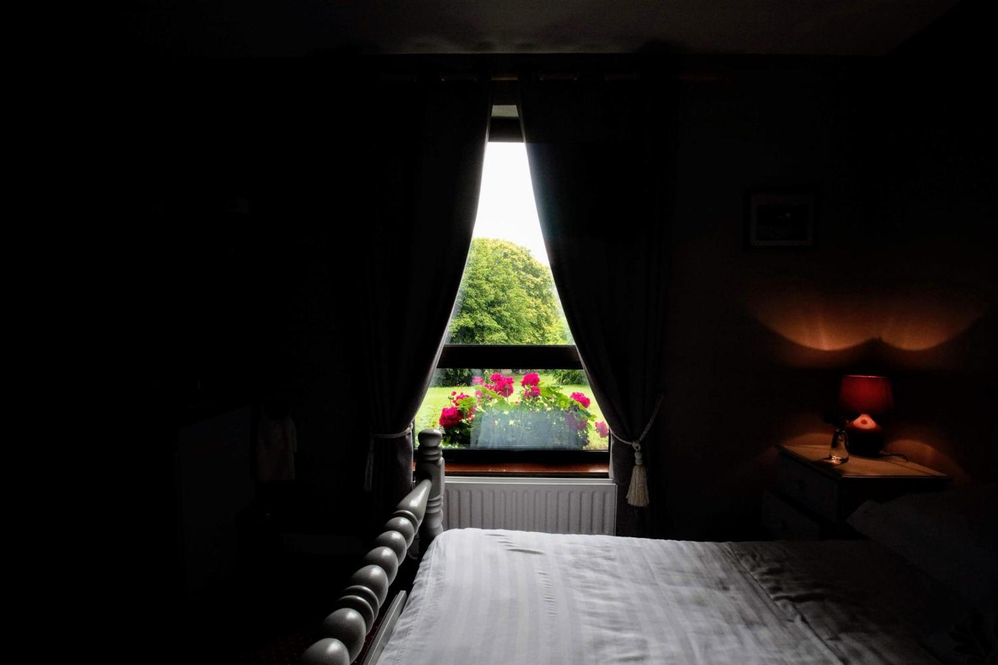 Abbey View Bed & Breakfast Galway Bagian luar foto