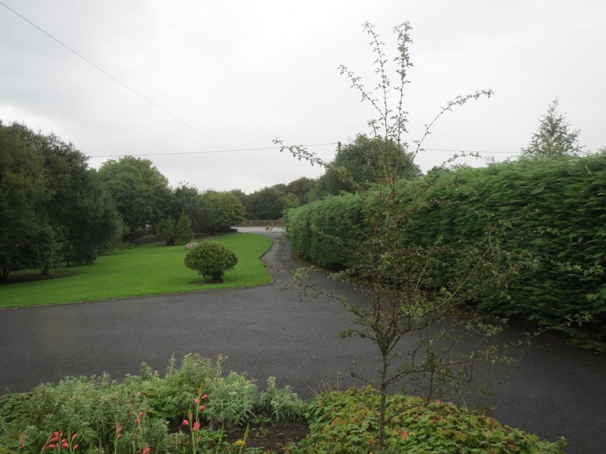 Abbey View Bed & Breakfast Galway Bagian luar foto