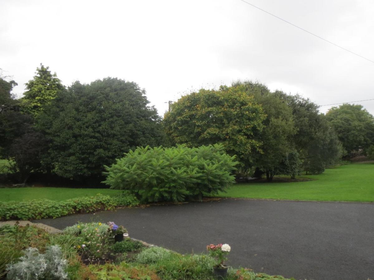 Abbey View Bed & Breakfast Galway Bagian luar foto